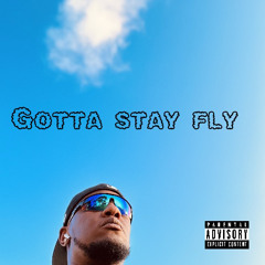 Gotta Stay Fly feat South Waco Shade