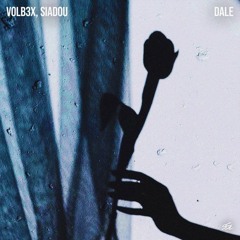 VOLB3X & Siadou - Dale