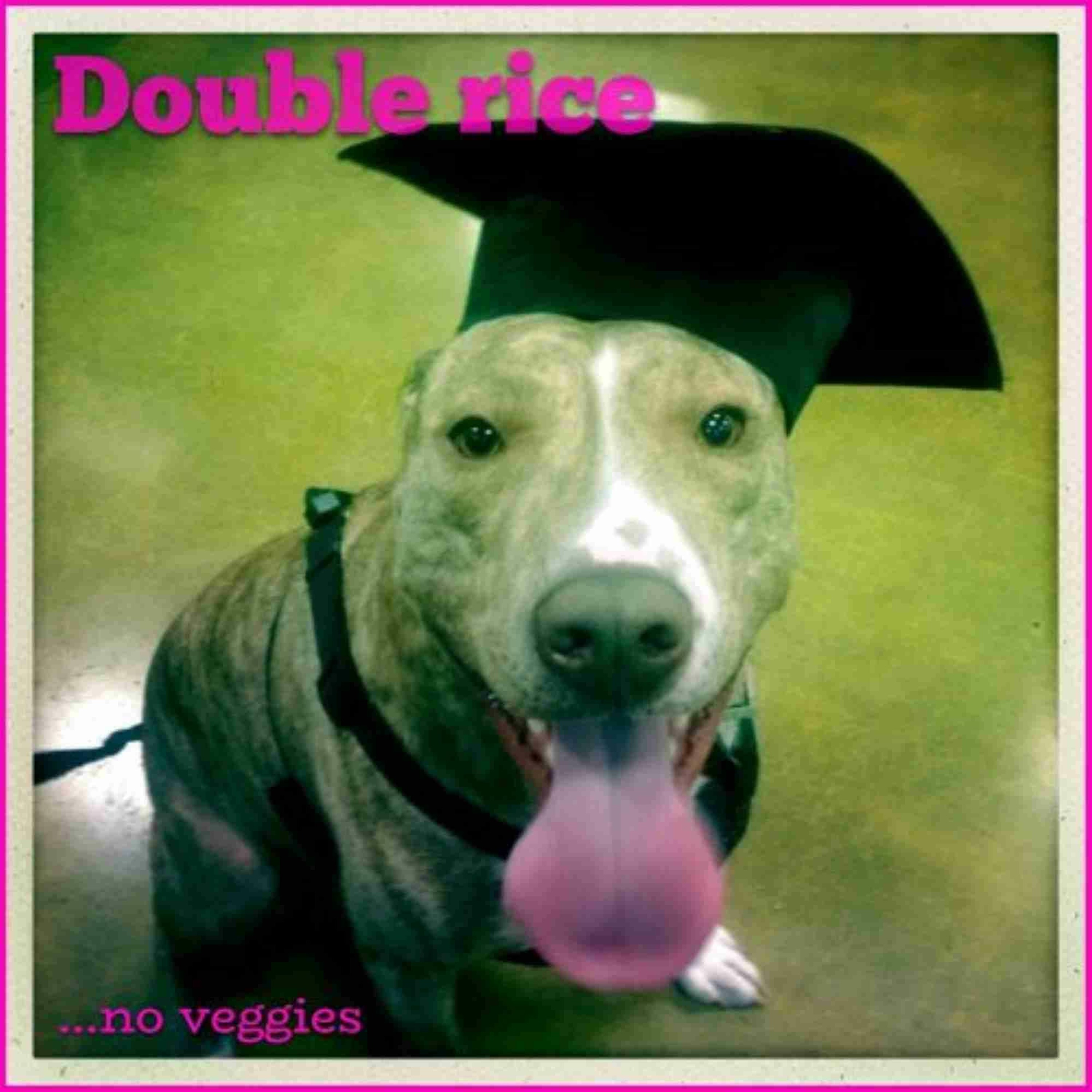 Double rice...no veggies