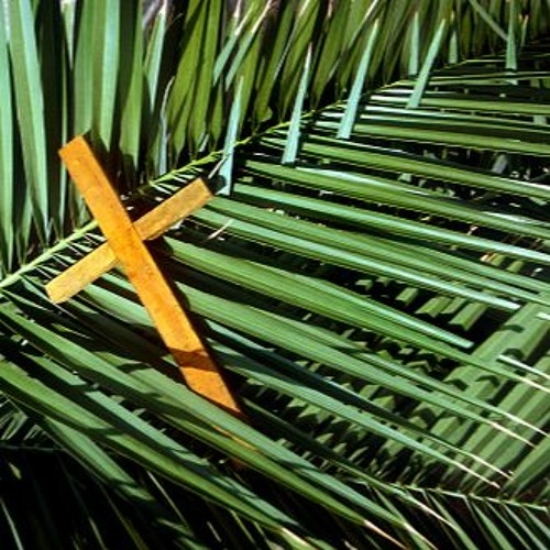 Stream Reflection Palm Sunday 2022 By Jesuit Institute Sa Listen