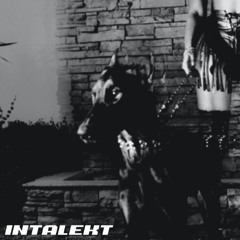 MUTT (Intalekt Remix)