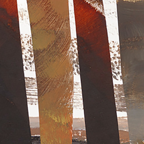 Bog Talk Episode 3 Sphagnum Pools