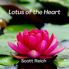 Lotus Of The Heart | Scott Reich