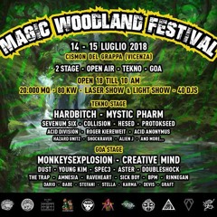 Pasik - DjSet At MagicWoodland Festival (Free Dowload)