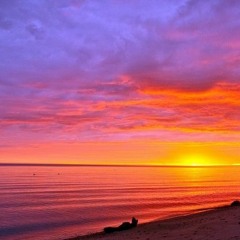 New Day