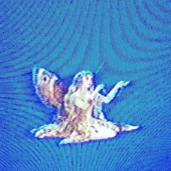 superkomfort - last disco (slowed)