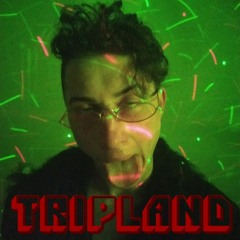 TRIPLAND & DMA - Seletkov
