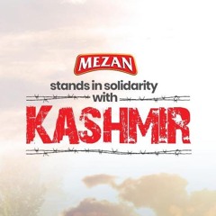 Mezan - Freedom for Kashmir ft. Shafqat Amanat Ali Khan