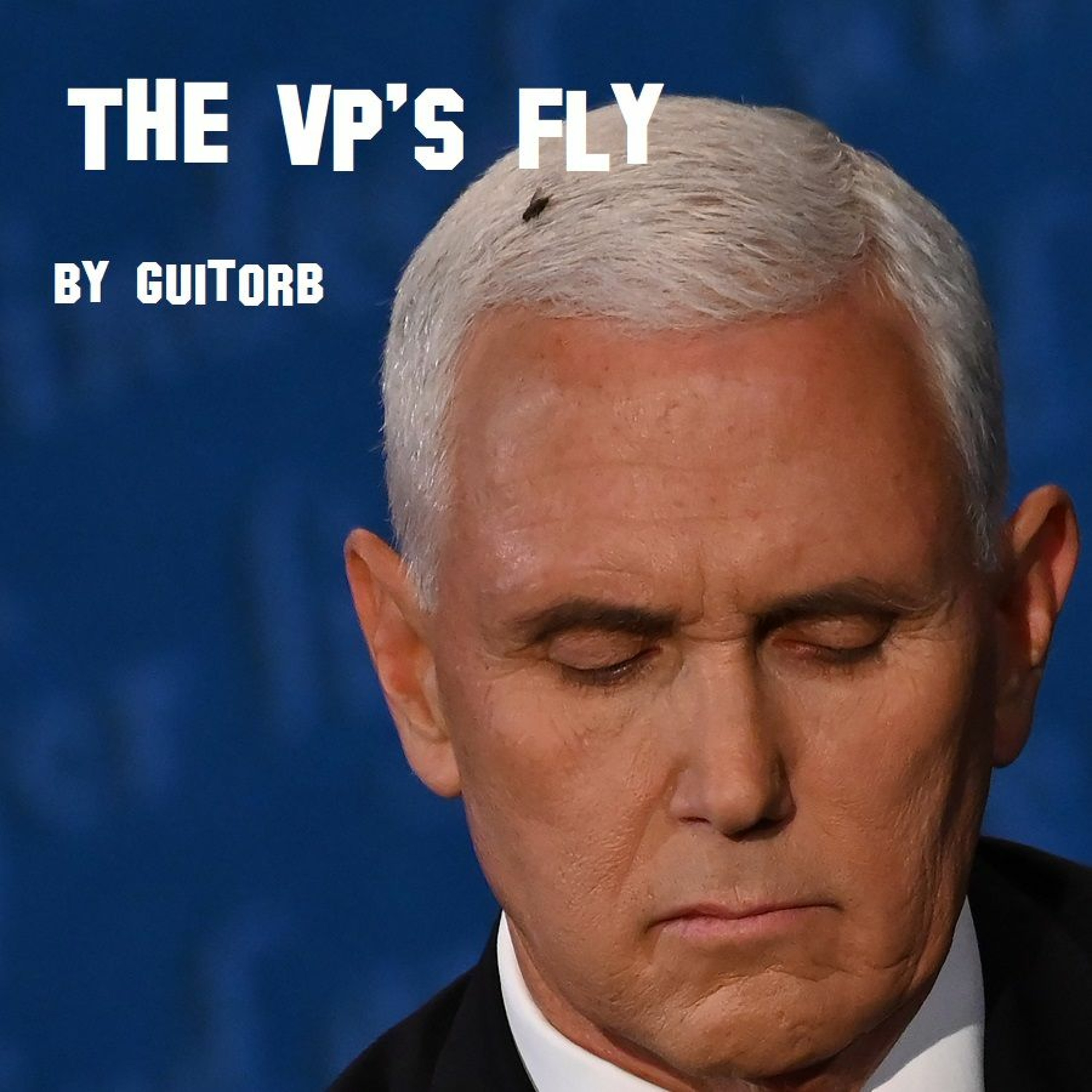 The VP's Fly episode artwork