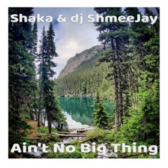 Shaka & dj ShmeeJay - Ain't No Big Thing