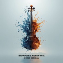 Vioman (Electronic House Mix)