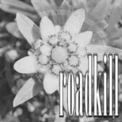 the flower that will never bloom (edelweiss cover)