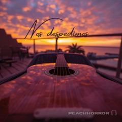 Nos despedimos (We bid farewell)