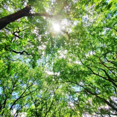 Igsoon, Kumusta ka? | Cover