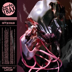 Tiefton - Echoes Unseen EP (Snippets) [GTX019]