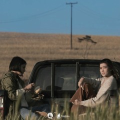 What's Happened To The Wolf Soundtracks