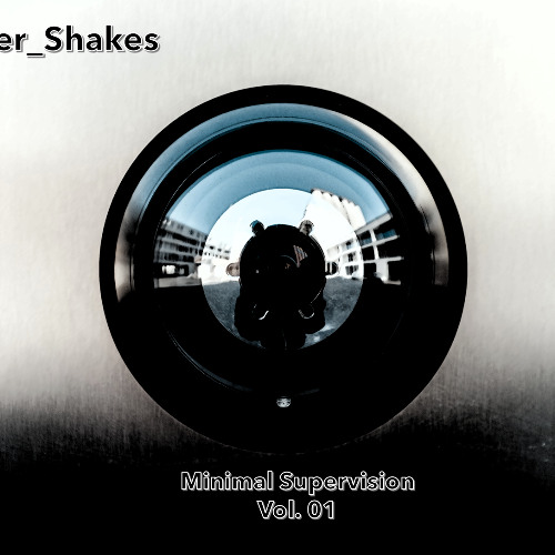 Minimal Supervision Vol. 01