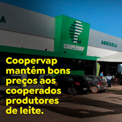 Coopervap mantém bons preços aos cooperados produtores de leite