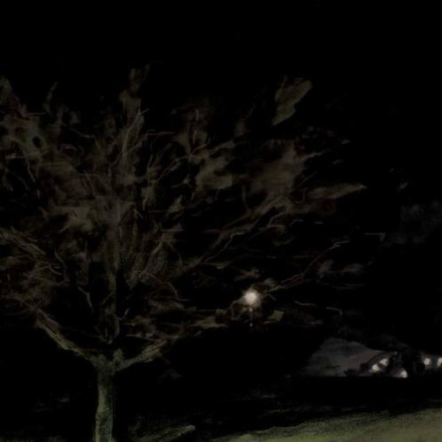 serum 2 test (3/20/2025)