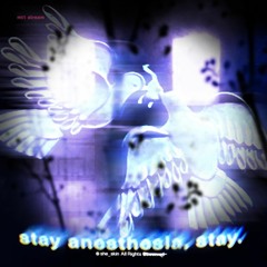 she_skin- Stay Anesthesia, Stay (mt1 stream)