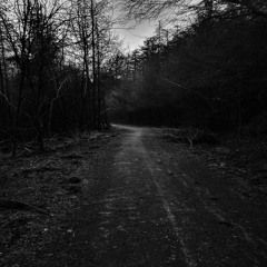 Forest Of Darkness (Mastered)