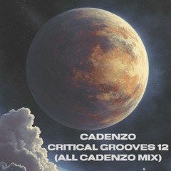 Cadenzo - Critical Grooves 12 (All Cadenzo Mix)