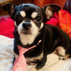 le nerf fou de la paupiere.mp3