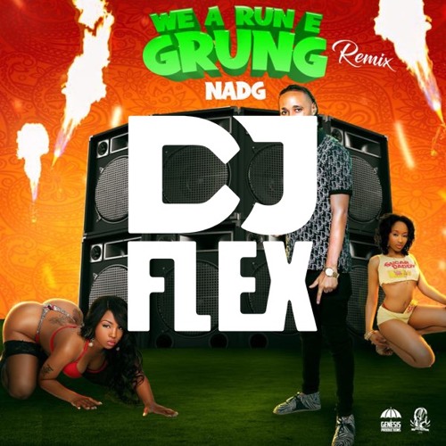 Nadg - We A Run E Grung (DJ FLEX INTRO)