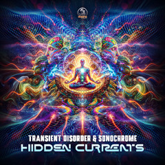 Transient Disorder & Sonochrome - Hidden Currents