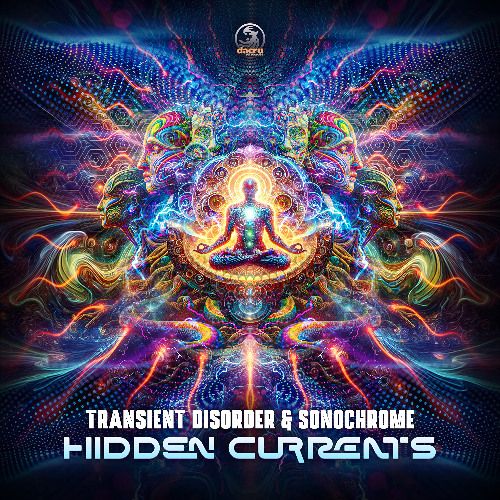 Transient Disorder & Sonochrome - Hidden Currents