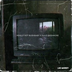 Bushbaby Really Hot X Julio Bashmore Bootleg