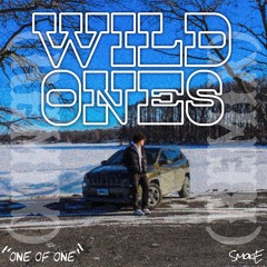 Wild Ones(REMIX) '' One Of One ''