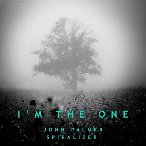 John Palmer + Spiralizer - I'm The One