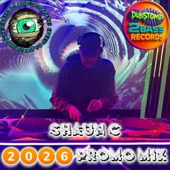 DS2B/SDS PROMO MIX mixed by SHAUN C