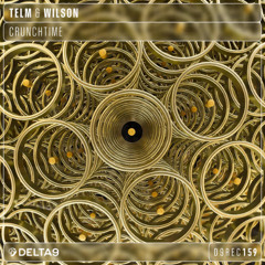 Telm & Wilson - Execute