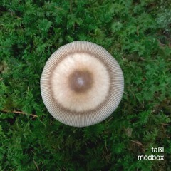 modbox - Faßl (Original)
