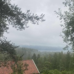 Throwaway series 004 - nv din