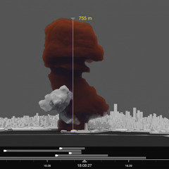 Forensic Architecture 171025