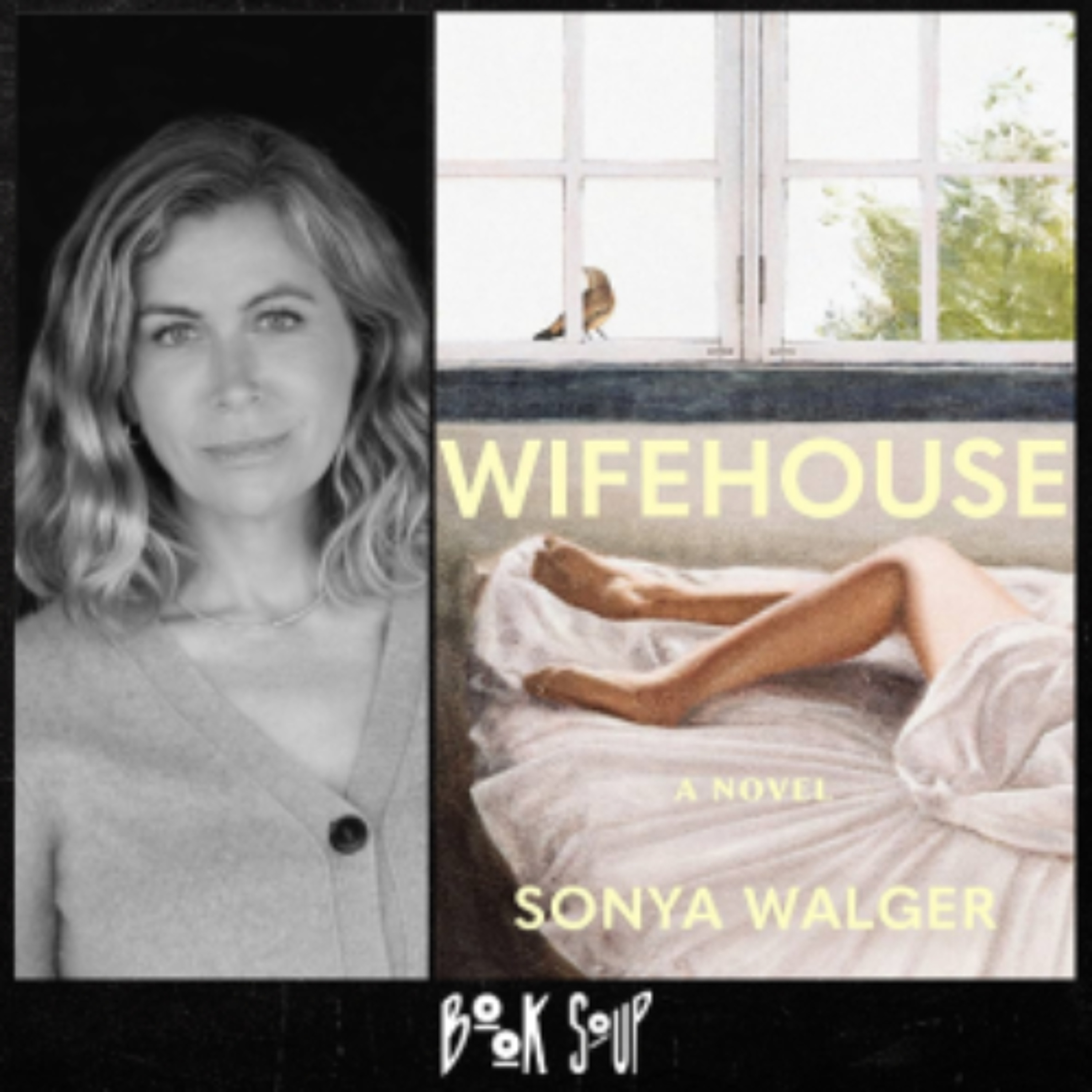 Wifehouse author Sonya Walger discusses her new novel on Writing While Handicapped! episode artwork