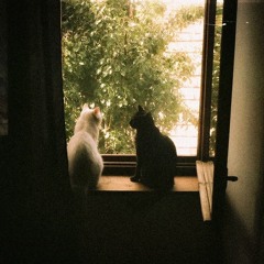 영원은 그렇듯 cover