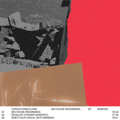 Fergus Sweetland - Big House Resonance EP | NRBK005 | Previews