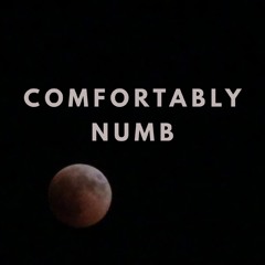 Comfortably Numb (Cover - Demo) - Dave Dreamer