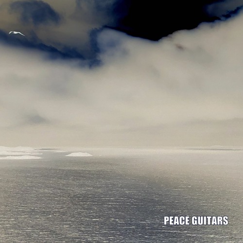 PEACE GUITARS