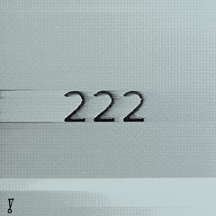 #222 (ft. fedidoitagain) p. HoodSasuke [ALL PLATS]