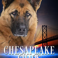 [View] EBOOK 💛 Chesapeake Chaos: Book 10 in The Jerry McNeal Series (A Paranormal Sn