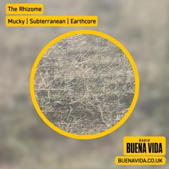 The Rhizome w/ Lou McHugh - Radio Buena Vida 21.08.26
