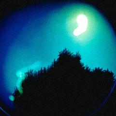 Light Crusader (Demo)