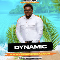 Promo Mix: Vibes Overseas | POP & HOUSE | Calvin Harris, Rihanna, Flo Rida & More | @DJDYNAMICUK