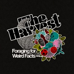 Episode 2: Emojis, Mandela & WW2 Weirdos