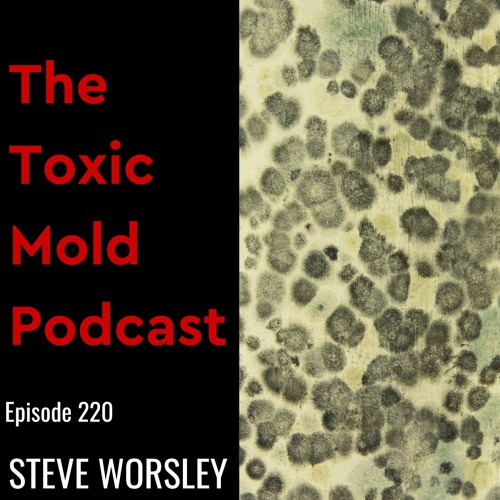 EP 220: Renters and Black Mold